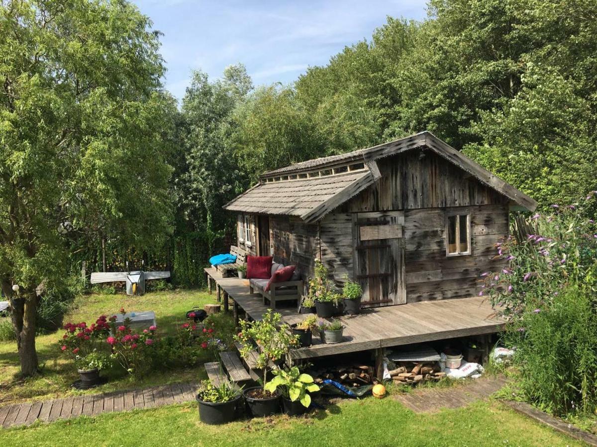 Cabin In The Green - Near Amsterdam Velsen-Zuid Kültér fotó